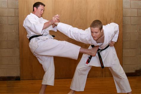 what is the best martial art for fighting? The impact of cultural context on martial arts effectiveness